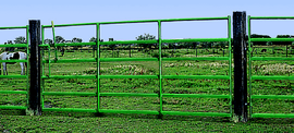 Heavy Duty Super Classic Gate (Multiple Sizes Available)