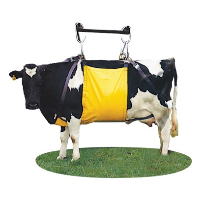 Easy Cow Lifter