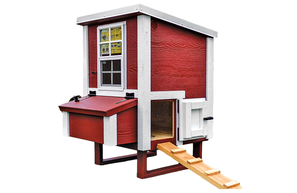 Small Chicken Coop - Up to 5 Chickens