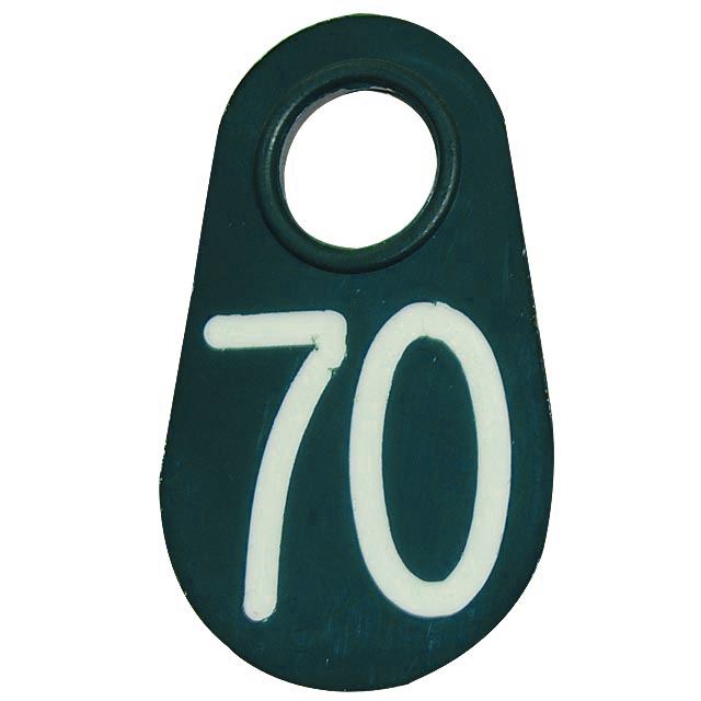Coburn Neck Tag - Green with Engraved White Numbers