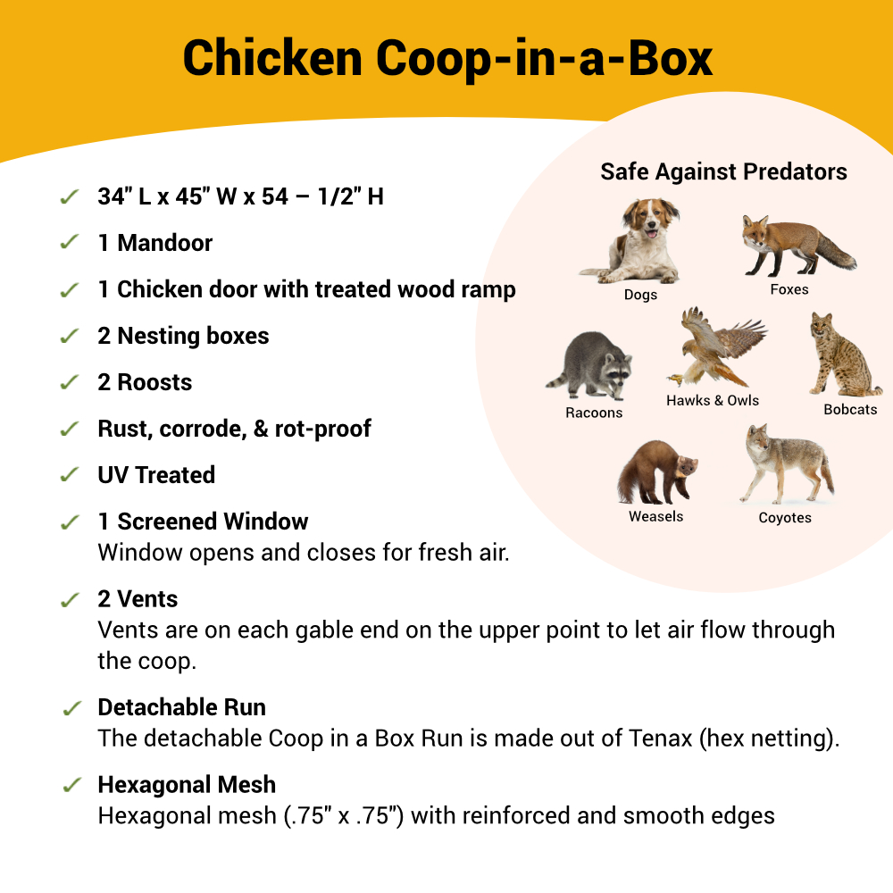 Coop In A Box - Up to 5 Chickens
