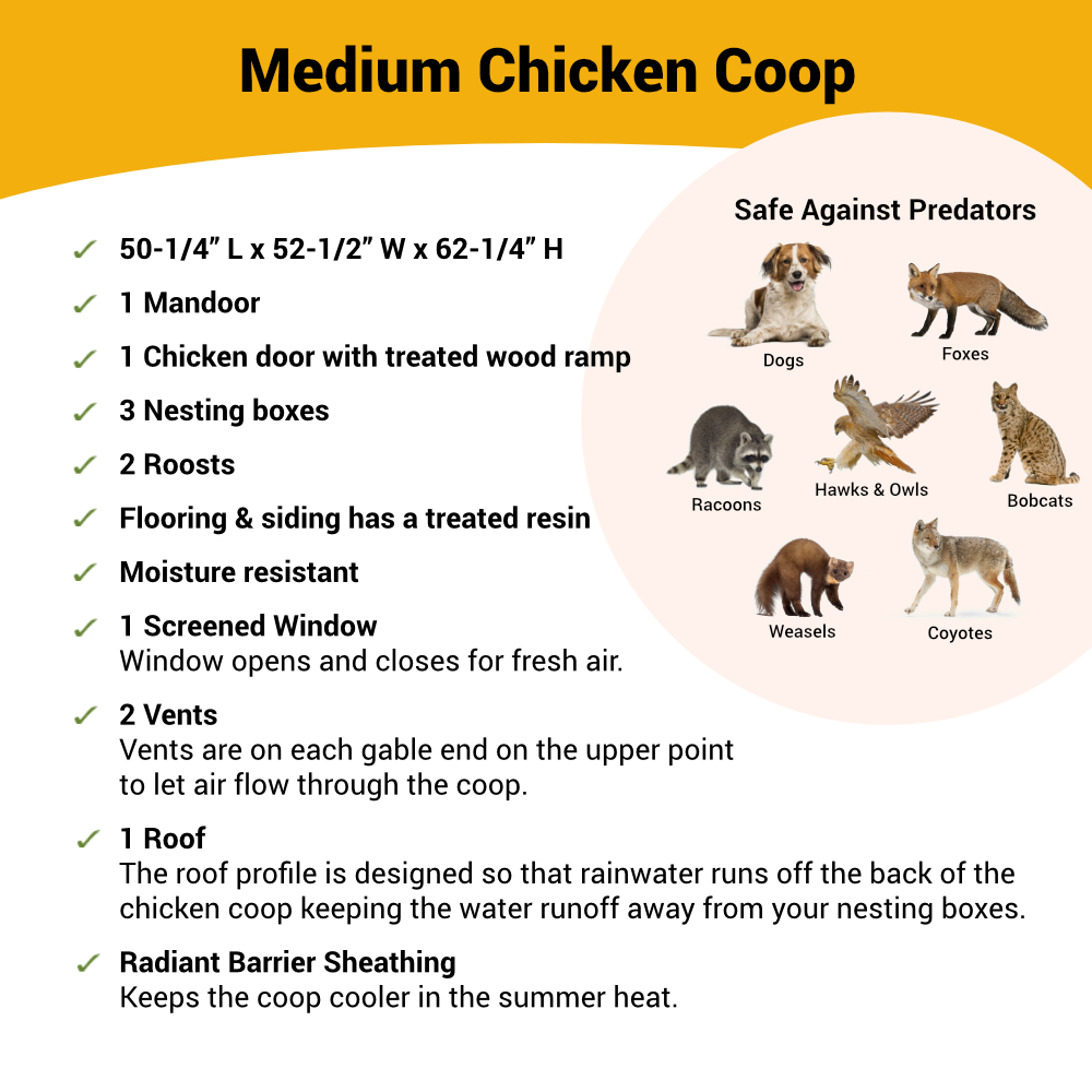 Medium Chicken Coop - Up to 10 Chickens