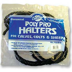 Bagged Polypro Calf Halter--Black CS12