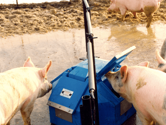 14 Gallon Energy Free Automatic Waterer for Hogs