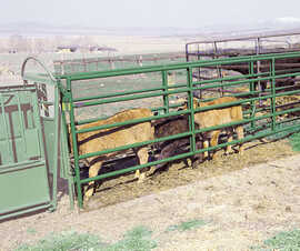 Calf Alley Panels (8' or 12' Lengths)