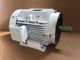 10 HP Techtop Washdown motor