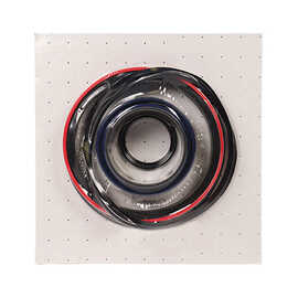 MAXIM WC WELDED CYLINDER: 2" BORE, SEAL KIT - 1.25" ROD DIA.