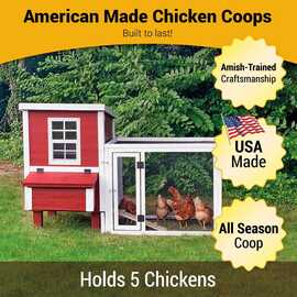 Coop In A Box - Up to 5 Chickens