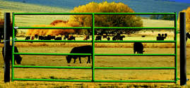Rancher Gate (Multiple Sizes Available)