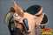Western Horse Saddle American Leather Flex Trail Barrel Racing