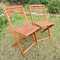 Rancho Acacia Wood Folding Chairs (Set of 2)