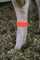 Bock's FLAG-LOC FABRIC LEG BANDS - PK10 bagged