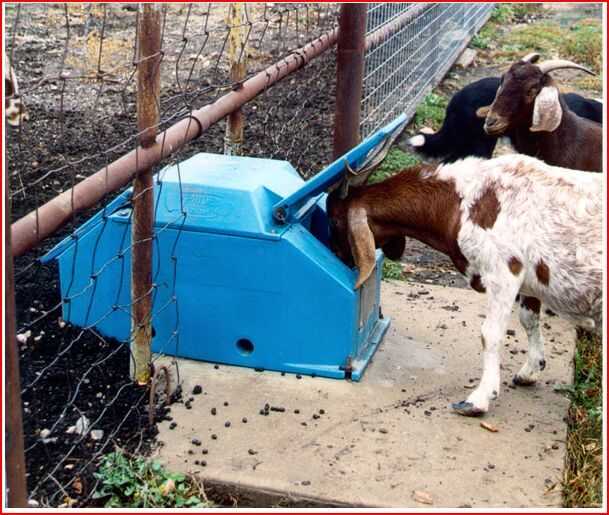 2 Opening 10 Gallon Polar Max Drinker for Sheep, Goats, and Calves WPM10A - ON SALE!