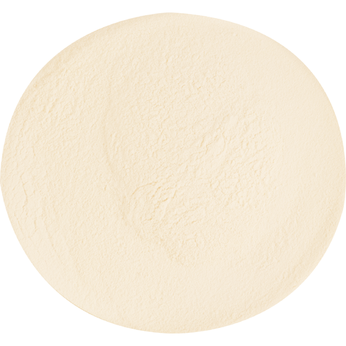 Dried Malt Extract (DME) - Pilsen Light