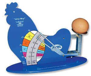Egg Grading Scale