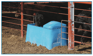 Open Trough 50 Gallon Livestock Waterer - Non Heated