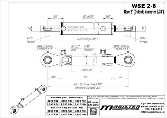 2" bore x 8" stroke swivel eye hydraulic cylinder - WSE 2x8