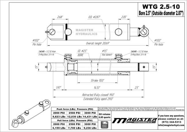 2.5" bore x 10" stroke tang hydraulic cylinder