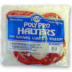 Bagged Polypro Calf Halter--Red CS12