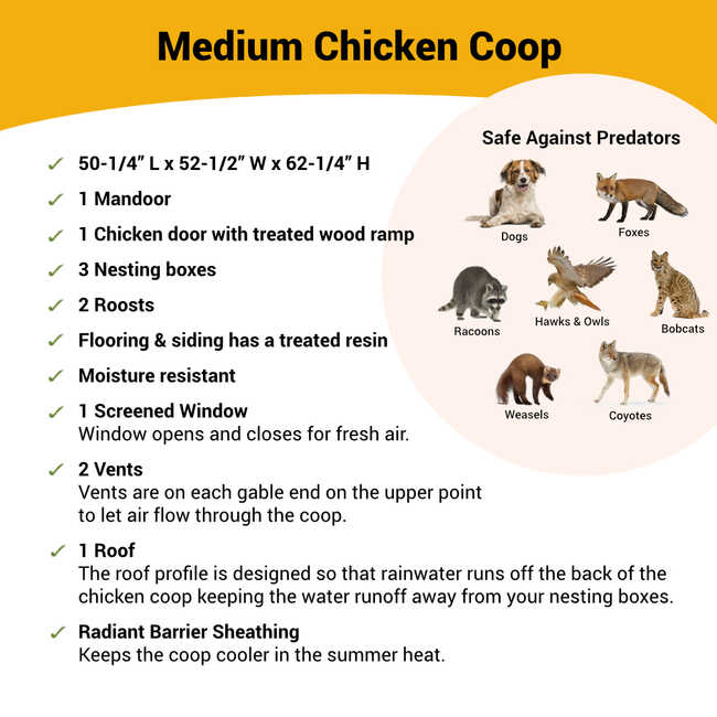 Medium Chicken Coop - Up to 10 Chickens