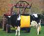 Easy Cow Lifter